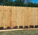 5/8-in x 5-1/2-in x 6-ft Pressure Treated Southern Yellow Pine Dog Ear Fence Picket