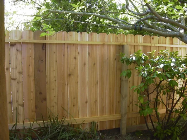 3/4-in x 5-1/2-in x 6-ft Pressure Treated Pine Dog Ear Fence Picket