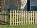 3/4-in x 3-1/2-in x 4-ft Pressure Treated Pine French Gothic Fence Picket