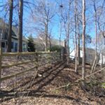 5-in x 3-in x 7-ft Pressure Treated Pine Flat-top Split-rail Line Wood Fence Post